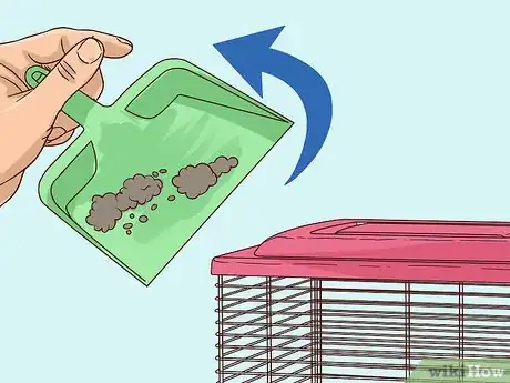 Imagen titulada Treat Diarrhea in Hamsters Step 8