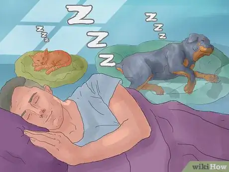 Imagen titulada Make Your Dog Stop Sleeping in Your Bed Step 14