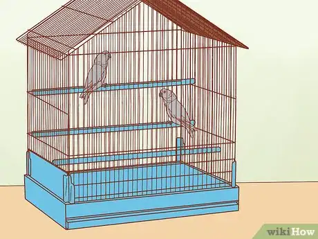 Imagen titulada Treat Feather Picking in African Grey Parrots Step 6