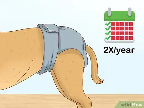 Imagen titulada Tell if Your Dog Is in Heat Step 2