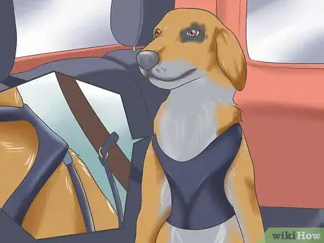 Imagen titulada Deal with Severe Motion Sickness in Dogs Step 5