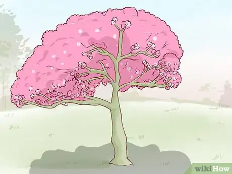 Imagen titulada Identify Cherry Trees Step 9