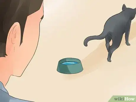 Imagen titulada Know if Your Cat Is Dying Step 11