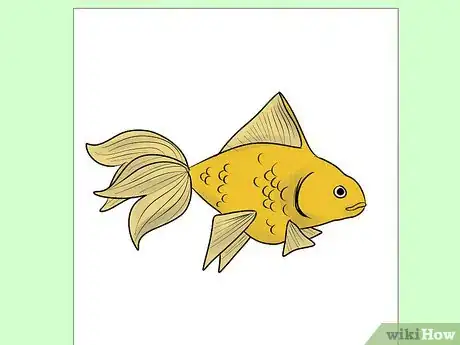 Imagen titulada Draw Goldfish Step 9