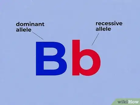 Imagen titulada Use a Punnett Square to Do a Monohybrid Cross Step 1