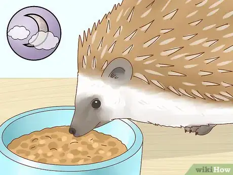 Imagen titulada Take Care of a Hedgehog Step 16
