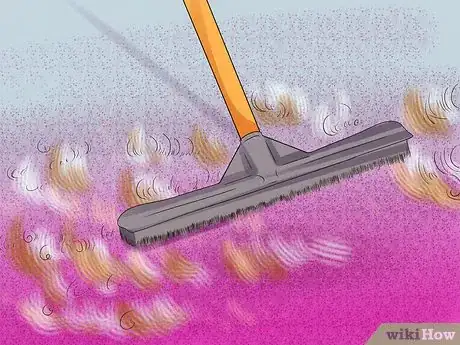 Imagen titulada Clean Carpets Step 5