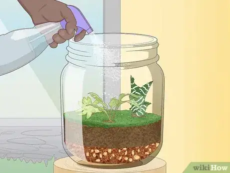 Imagen titulada Grow a Garden in a Bottle Step 15