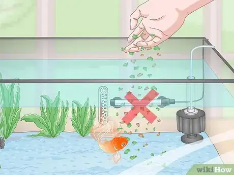 Imagen titulada Keep a Goldfish Happy and Healthy Step 10