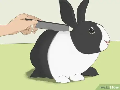 Imagen titulada Bathe Your Pet Rabbit Step 1