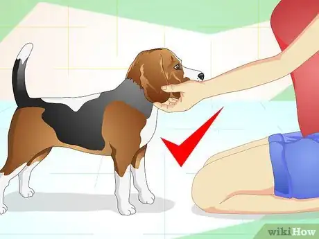 Imagen titulada Understand What Your Dog Wants Step 15