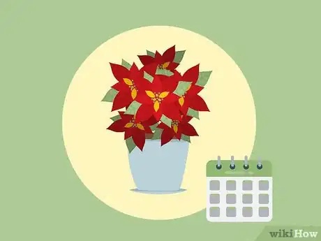 Imagen titulada Care for Poinsettias Step 11