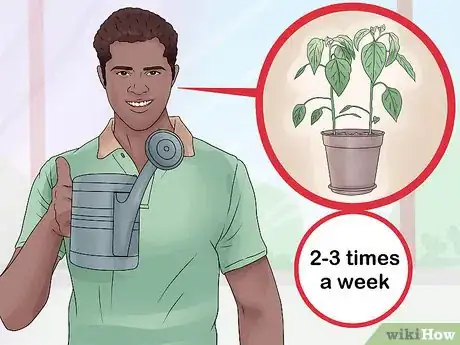 Imagen titulada Take Care of Plants Step 6