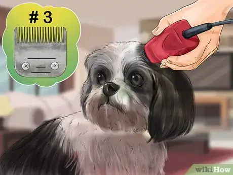 Imagen titulada Puppy Cut a Shih Tzu Step 8