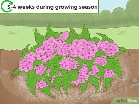 Imagen titulada Change the Color of Hydrangeas Step 12