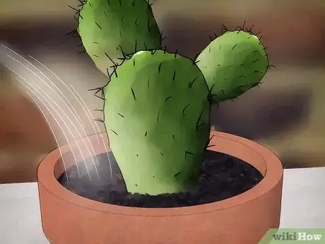 Imagen titulada Save a Dying Cactus Step 1