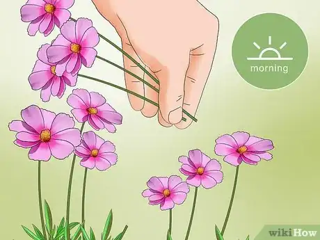 Imagen titulada Make a Flower Press Step 13