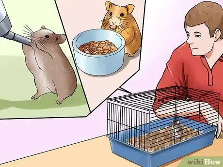 Imagen titulada Choose a Hamster Step 6