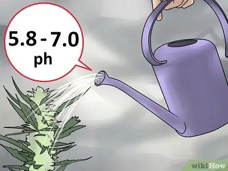 Imagen titulada Grow Medical Marijuana Step 14