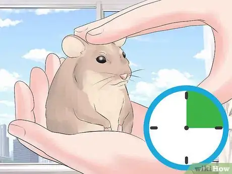 Imagen titulada Train Your Hamster Step 3