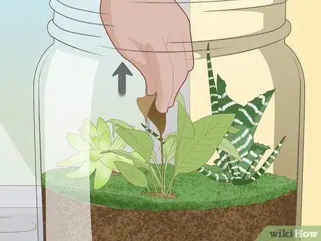 Imagen titulada Grow a Garden in a Bottle Step 16