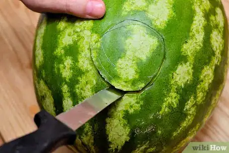 Imagen titulada Plug, Spike, or Cork a Watermelon Step 1