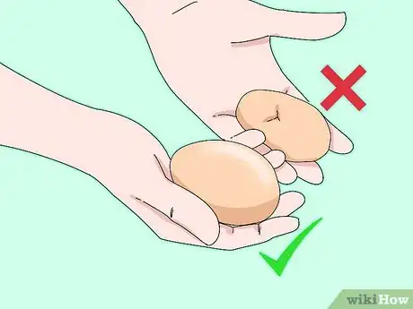 Imagen titulada Sell Chicken Eggs Step 6