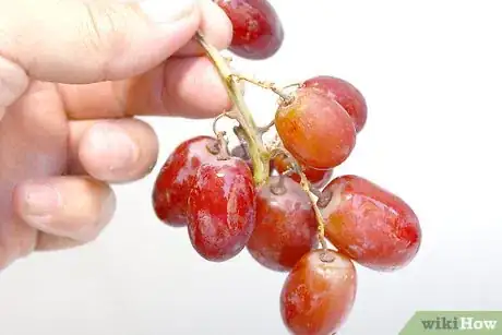 Imagen titulada Keep Grapes Fresh Step 1