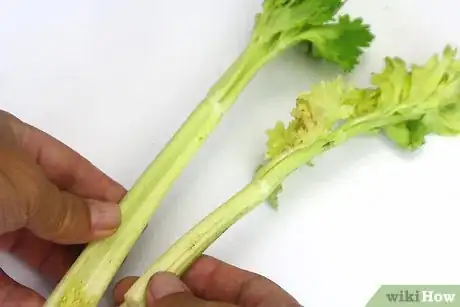 Imagen titulada Cut Celery Step 1