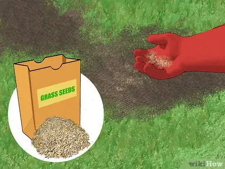 Imagen titulada Get Rid of Moss in Your Lawn Step 12