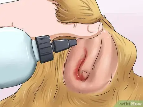 Imagen titulada Stop a Dog's Ear from Bleeding Step 5