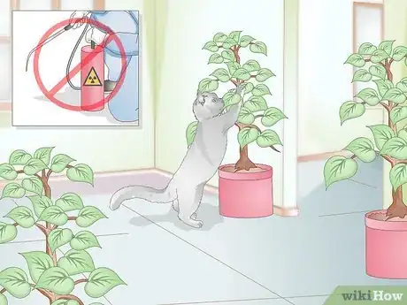 Imagen titulada Stop Your Cat from Eating Grass Step 8