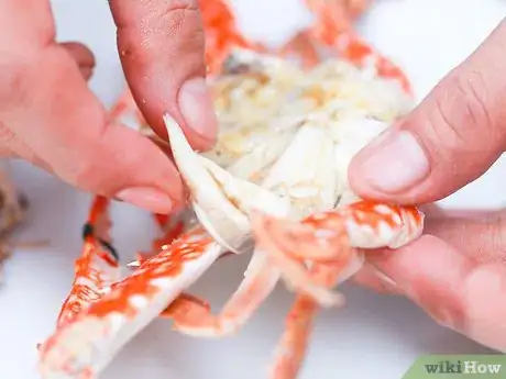 Imagen titulada Boil Crab Step 13