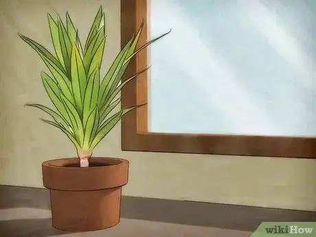 Imagen titulada Protect Plants from the Cold Step 1