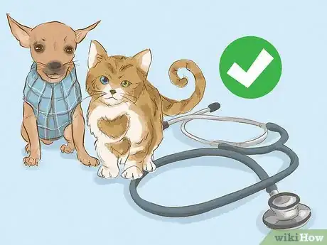 Imagen titulada Become a Veterinarian Step 8