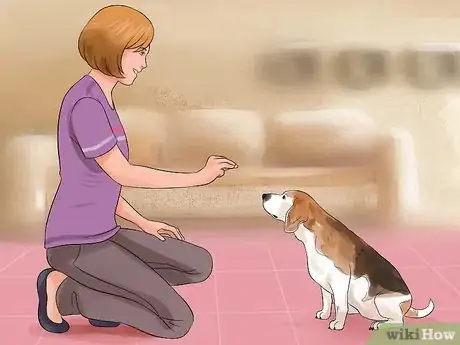 Imagen titulada Teach Your Dog to Play Dead on Command Step 3