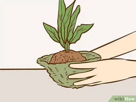 Imagen titulada Make a Kokedama Step 7