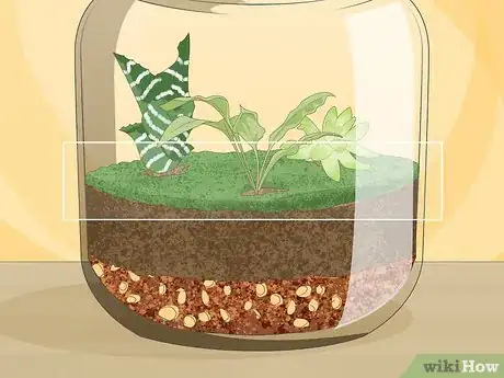 Imagen titulada Grow a Garden in a Bottle Step 12