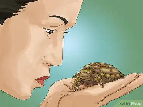 Imagen titulada Care for a Tortoise Step 18