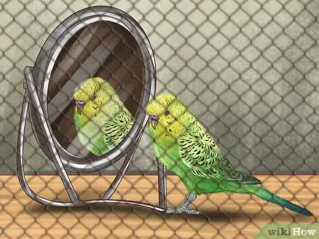 Imagen titulada Play With Your Parakeet Step 18