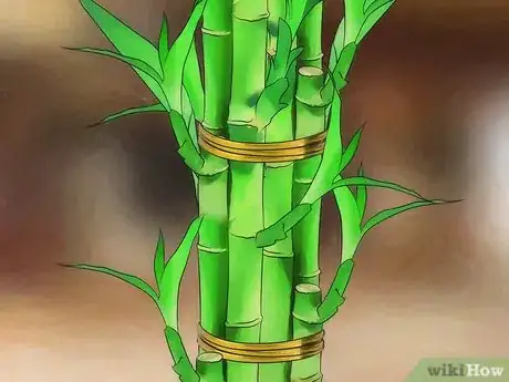 Imagen titulada Take Care of Lucky Bamboo Step 12