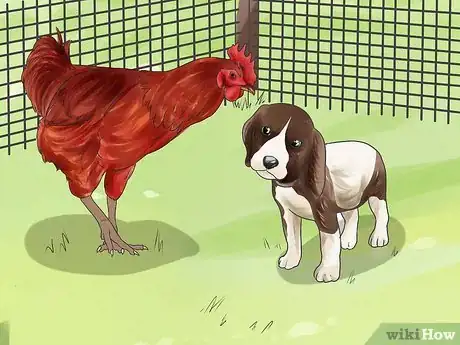 Imagen titulada Train a Dog to Protect Chickens Step 7