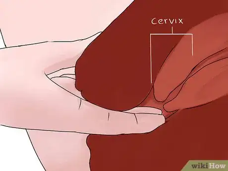 Imagen titulada Feel Your Cervix Step 4