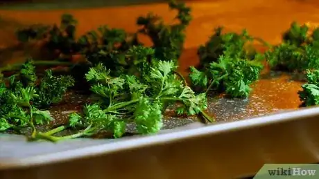 Imagen titulada Preserve Fresh Parsley Step 24