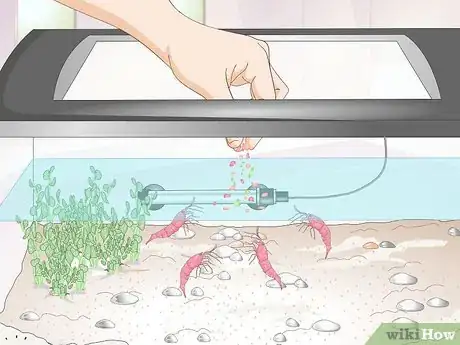 Imagen titulada Make a Shrimp Aquarium Step 14