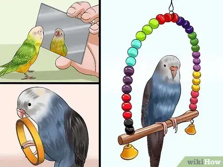 Imagen titulada Gain Your Parakeet's Trust Step 10