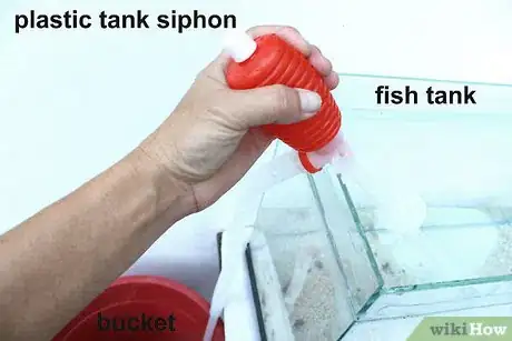 Imagen titulada Clean a Small Fishtank Step 11