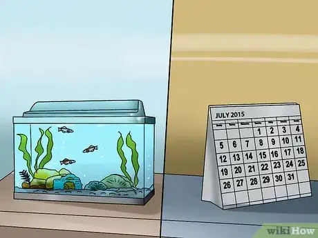 Imagen titulada Plan an Aquarium Step 10