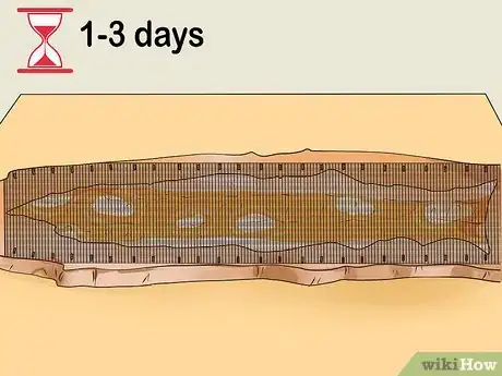 Imagen titulada Dry a Snakeskin Step 9