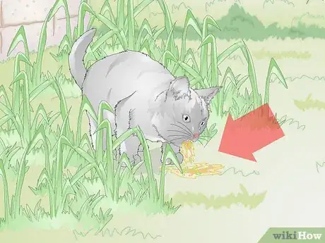 Imagen titulada Stop Your Cat from Eating Grass Step 9